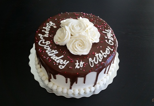 Chocolate top with White Rose 1241