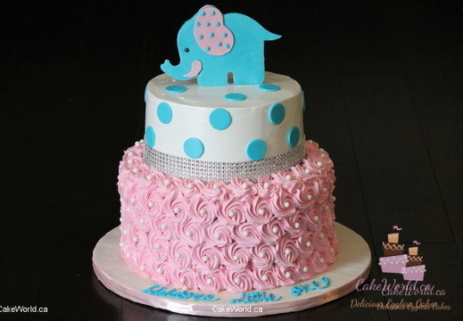 Baby Shower Cake 2051