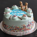Krishana Sparkle Cake 2145.jpg