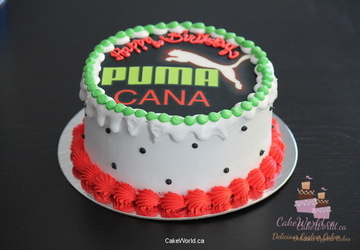 Puma Cana Cake 2011