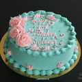 Selena's Turquoise Cake 2007