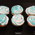 Turquoise Cupcakes 2069