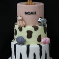 Noah Animal Pattern Fondant Cake
