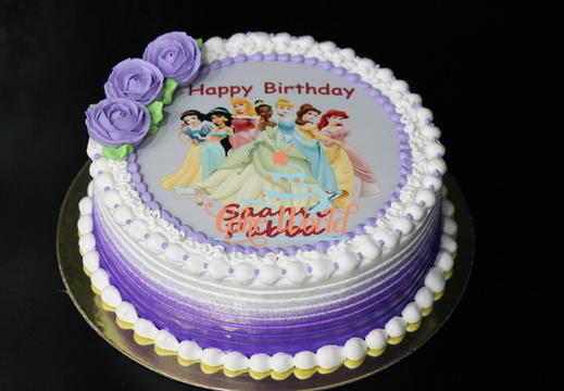 Saanvi Princess Cake